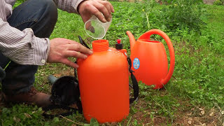 🚫Salva tus tomates  Como eliminar el Mildiu Mi secreto🍅► Cultivo de tomates  tuhuertofacil [upl. by Ayit]