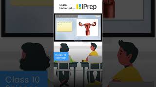 Female Reproductive System  How Do Organisms Reproduce  Science  Class 10  iPrep iprep [upl. by Ardek]