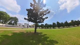 114 Walking around Longtanlushanlin Park P3 Taoyuan city Taiwan island 20240717 [upl. by Shane]