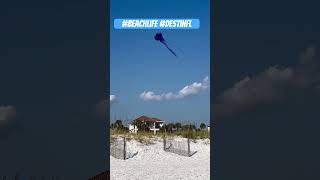 Destin FL beachlife destinbeach beach bestlife travel [upl. by Keisling886]