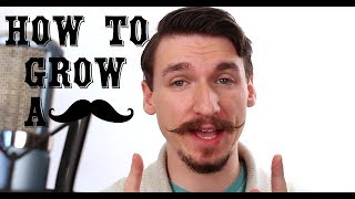 How To Grow and Style a Handlebar Mustache  A Tutorial  Matt Tastic [upl. by Aneehs231]