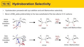 1016 HydroborationOxidation of Alkenes [upl. by Navak]