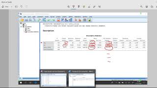 Betimsel İstatistikler Descriptives [upl. by Narruc553]