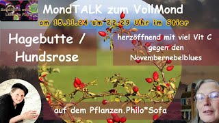 MondTalk zum Vollmond  Im Gespräch mit Nana Mara auf dem PflanzenPhiloSofa  Hagebutte Hundsrose [upl. by Sergo]