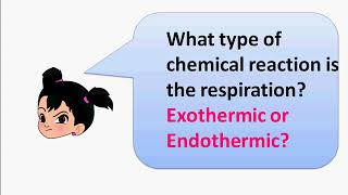 रासायनिक अभिक्रिया और समीकरण – ऊष्माक्षेपी ऊष्माशोषी Part 3 – Exothermic Endothermic  Hindi [upl. by Kenlee]