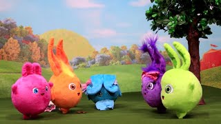 Cartoons For Children  SUNNY BUNNIES  LIGHT UP AND BOUNCE TOYPLAY EPISODE  Cartoons For Children [upl. by Peisch958]