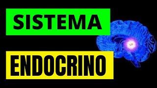 SISTEMA ENDOCRINO HUMANO [upl. by Fahy]