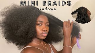 Natural Hair Mini Braids Take Down ASMR Bushing Video [upl. by Adnawal]