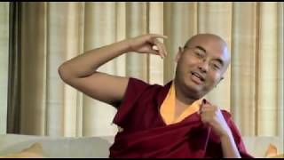 What Meditation Really Is  Mingyur Rinpoche [upl. by Mortensen]