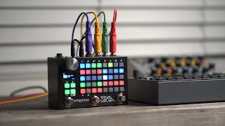 5 Whys To Buy a ZOIA  The best FX Pedal [upl. by Tiffa]