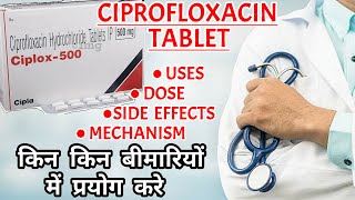 Ciprofloxacin tablet  Ciprofloxacin किस काम आती हैं  Ciprofloxacin tablets ip 500mg uses [upl. by Analiese]