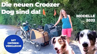 Test Hundeanhänger Croozer Dog Enna und Croozer Dog Mikke [upl. by Ahsyek]