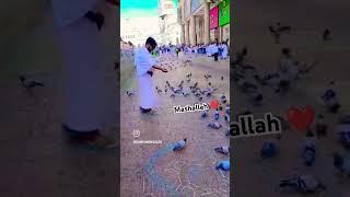 Mashallah ❤️❤️❤️🕋🕋🕋🕋foryou jummamubaraknaat all allhahu madina makkah saudiarabia umrah [upl. by Wiburg]