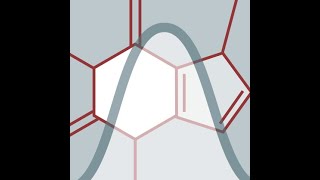 Metabolomics Analysis 2023  07 Metabolomics Data Analysis Lab using MetaboAnalyst 50 [upl. by Docila]