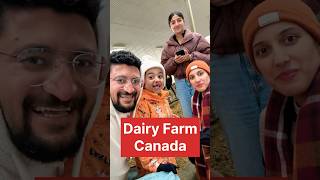 Dairy Farm Canada punjabivlogger [upl. by Suruat]