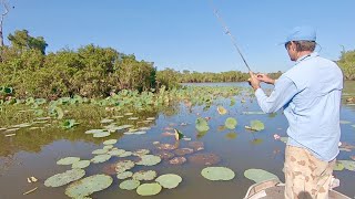 A Morning To Remember  Fishing Kakadu [upl. by Nadabb]