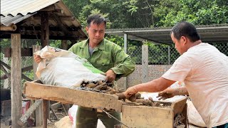 Ten tons of cassava roots are ground into powder which Jhony does in one day [upl. by Otit929]