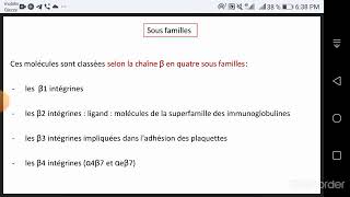 Les molécules dadhésion [upl. by Aneram]