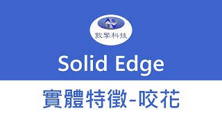 Solid Edge 咬花Embossed Building [upl. by Engleman989]