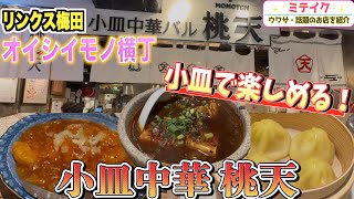 【リンクス梅田グルメ】コスパ良し❗️つまめる小皿中華【桃天】おすすめ料理ご紹介❗️ヨドバシカメラ梅田B1 [upl. by Atinuj]