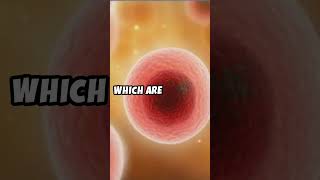 How Does the Immune System Work  A Quick Overview immunesystem science shorts [upl. by Nitas211]