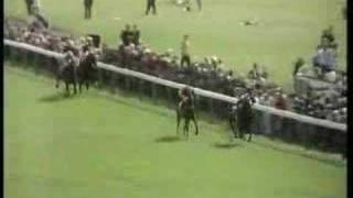 Roberto beats Brigadier Gerard at York [upl. by Atnaloj846]