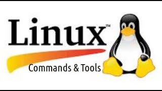 Commands amp Tools Linux 004 How use command df get information about disk partition in your computer [upl. by Colwen]