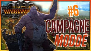 Nains trop malin amp Nouveau Pokemon  Campagne moddé avec Skrag sur Total War Warhammer III EP6 [upl. by Ring]