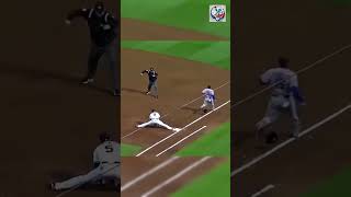 Incredible Defense by Atlanta Braves shorts sports baseball baseballhighlights defense [upl. by Jillane]