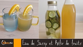 Eau de Sassy et Kéfir de fruits Boissons détox Aide à la perte de poidsRecettesimple 2 MKS 20 [upl. by Nnylamme]