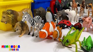 Un pez grande un pez pequeño 🐟 Nombres de animales para niños ✨ Mimonona Stories [upl. by Ylrebma]