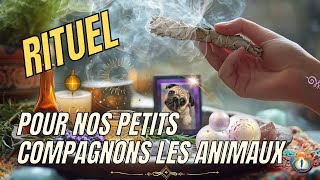 Rituel pour nos petits compagnons les animaux [upl. by Lladnor595]