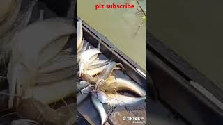 Langer asha koira boalmach song love river fishing fisherman [upl. by Eaj]