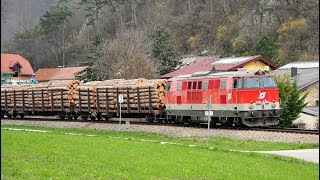 ÖBB 21430301 Holzverkehr im Triestingtal 2832019 [upl. by Tihor]