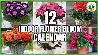 12 Indoor Flower Plants That Bloom According to 12 Months  Flower Bloom Calendar PlantandPlanting [upl. by Coke401]