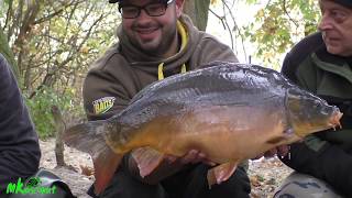 Karpfenangeln 2017 Herbstgold im Brandenburger Land [upl. by Niriam]