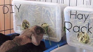 DIY HAY RACKBOX  SUPER CHEAP [upl. by Carolus]