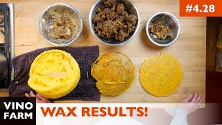 Rendering Beeswax Worth The Hassle Lets Find Out [upl. by Adama]