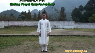 Wudang Taiyi Wuxing Qigong 5 Elements 管永星五形气功 [upl. by Gunilla]