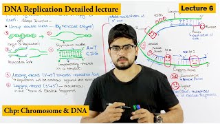 DNA Replication  Lecture 6 [upl. by Jean-Claude356]