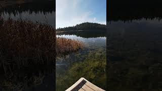 🍂🌞Shea Lake in BC🍂autumn jezioro jesień natura offroading camping fishing nature bc shorts [upl. by Caruso]