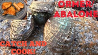 ORMER  ABALONE  Catch And Cook  Simple And Delicious [upl. by Charters540]