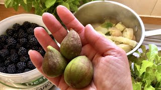 FIGS  FORAGING AND I COOK MY HOMEGROWN POTATOES [upl. by Vogel]