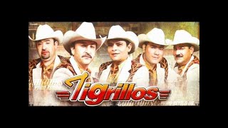 Los Tigrillos  Cumbias Con Garras [upl. by Cha817]