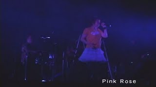 LIVEPink Rose  KiyommySeiya Popn Music Live 2 [upl. by Adnilav]