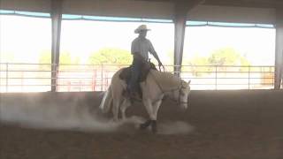 Big Chex To Shine  Reining Horse For Sale [upl. by Hannaj191]