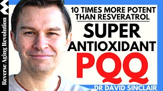 SUPER Antioxidant PQQ 10 TIMES More POTENT Than Resveratrol  Dr David Sinclair Interview Clips [upl. by Akinad]