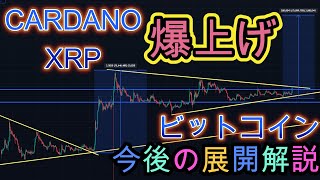 XRP、CARDANO共に爆上げ！！今後の展開解説。ビットコインは再度注目のラインに挑戦なるか。暗号資産（仮想通貨）【BTC、ADA、XRP】 [upl. by Bart]