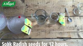 Sprouting made easy  with bioSnacky® [upl. by Parent]