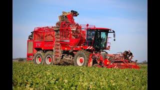 Arrachage betteraves 20232023 beet harvest in🇫🇷 Holmer t4 40New Holland T7Massey Ferguson7619 [upl. by Heim180]